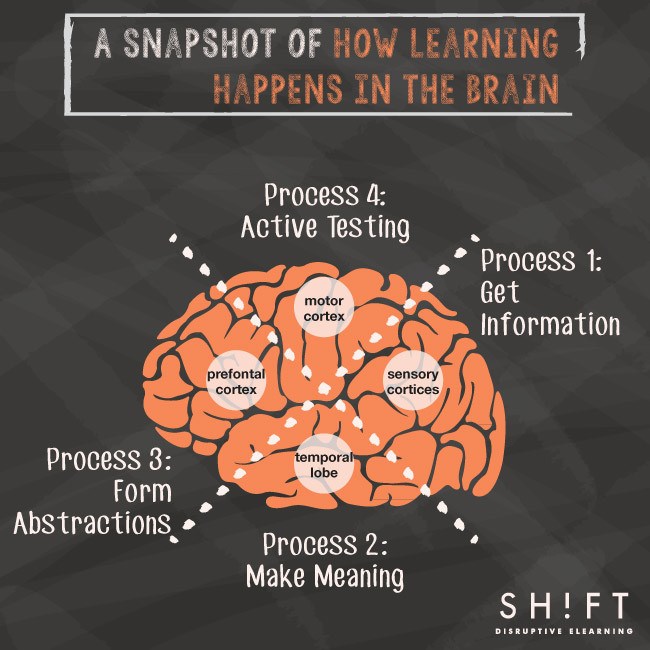 How the Brain Learns—A Super Simple Explanation for eLearning Professionals thumbnail