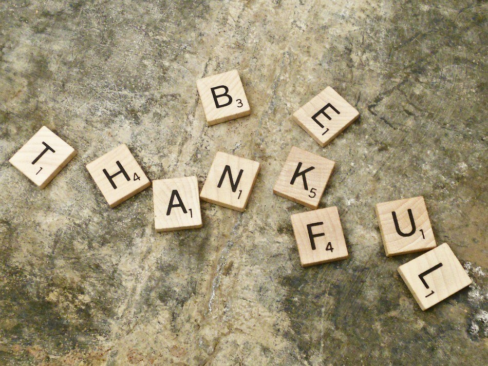 5 Things the Online Learning Industry Should Be Thankful For This Thanksgiving - SchoolKeep Blog thumbnail