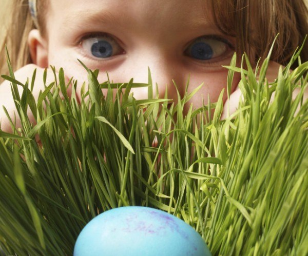 Digital Easter Egg Hunt in the E-Learning Household | SweetRush thumbnail