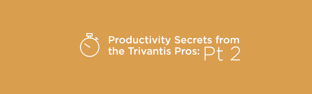 Trivantis: Productivity Secrets from the Trivantis Pros: Pt 2 thumbnail