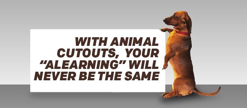 With Animal Cutouts, Your "aLearning" Will Never Be The Same » eLearning Brothers thumbnail