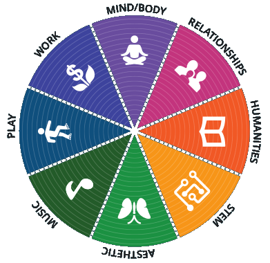 Its all about the Learner - The Curious Wheel of Learning thumbnail