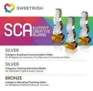 SweetRush Honored With Three 2016 Summit Creative Awards - eLearning Industry thumbnail