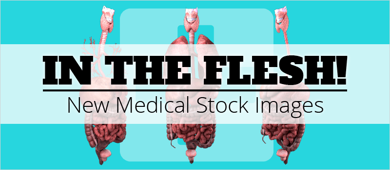 In the Flesh! New Medical Stock Images - eLearning Brothers thumbnail
